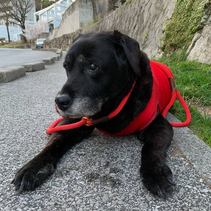 A98b27c4 525a 469b b9d4 db3e28d586db 1647422238036