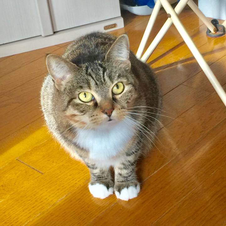 A98b3e0a 706e 48a0 9370 2f2182189f05 1576033647634