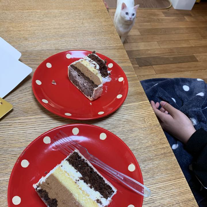 A98b4f25 2c37 4366 a7bf 386ec2deabe9 1590819779739