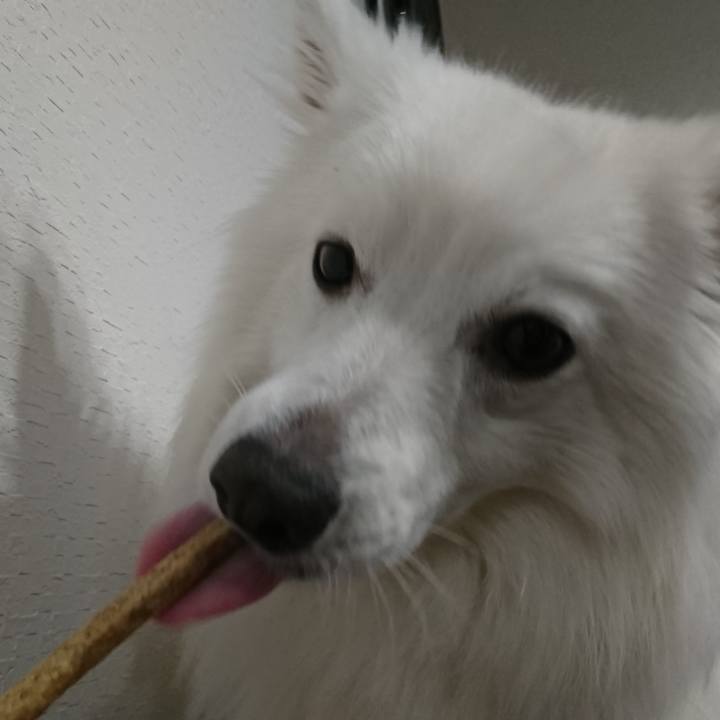 A98b528e 78c4 47a5 a473 ea7b0c22778b 1550151406986