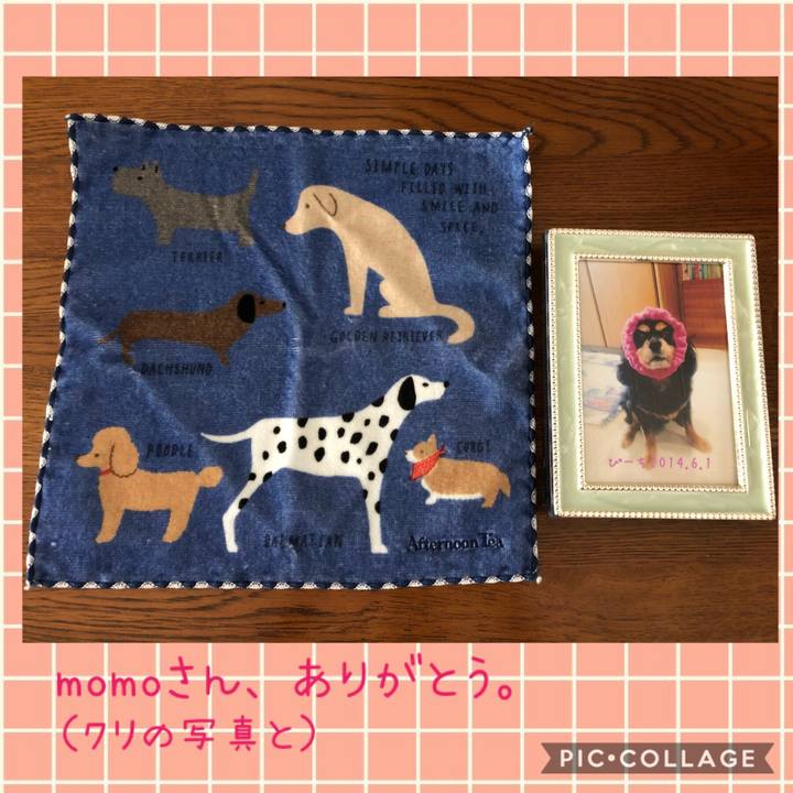 A98b837e c147 49f6 84ef cadf380928eb 1540357115207