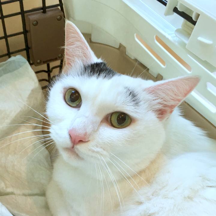 A98bb018 5eb4 4939 b999 4351613da44f 1569566046278