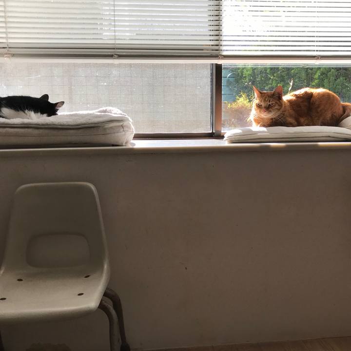 A98bcd6f b0b6 4053 b9c6 c8ebfae4b570 1513503928439