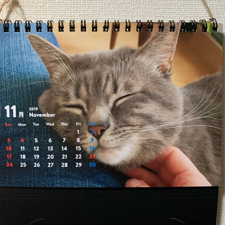 A98bd9df 4a48 4519 b23e 19466786d8a3 1572832453078