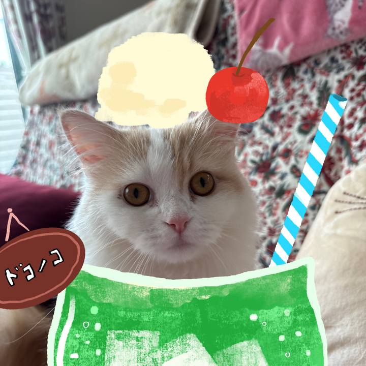 A98bedf2 9e71 43a9 a335 67e88523b3ca 1755304346401