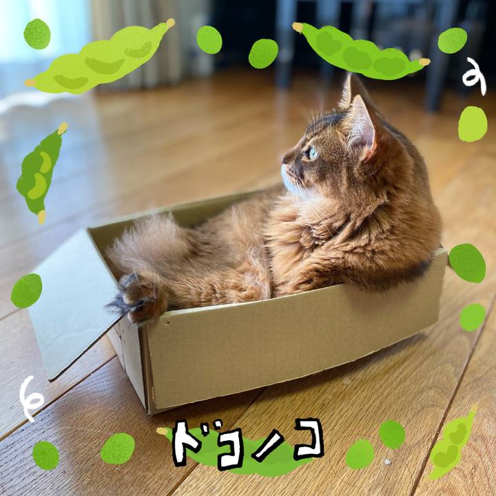 A98bef9e 7647 420c b4dd ba3f77ca6904 1720918582968