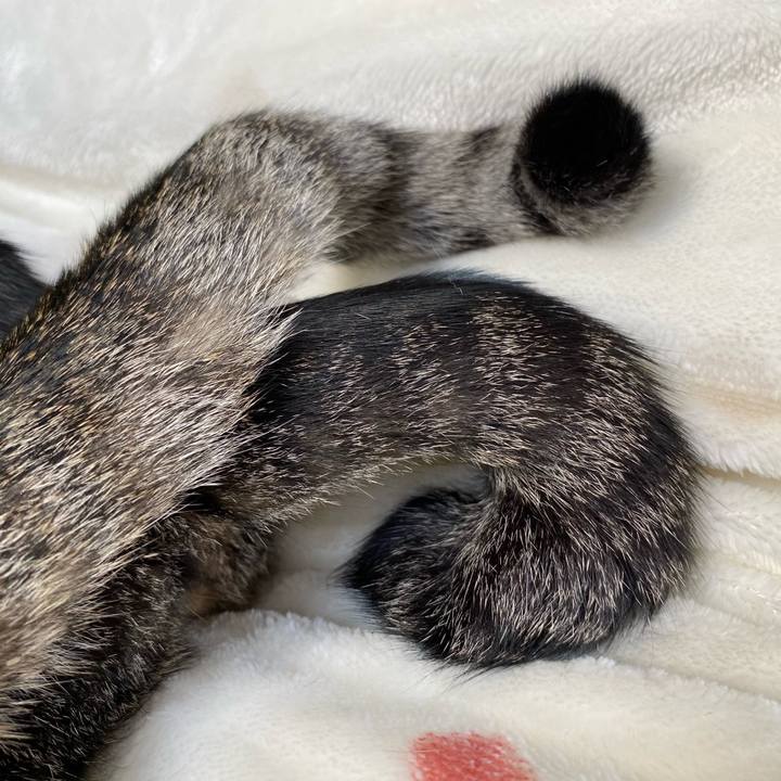 A98c0b8e 453b 42c8 803b 736e827f780f 1674917316905