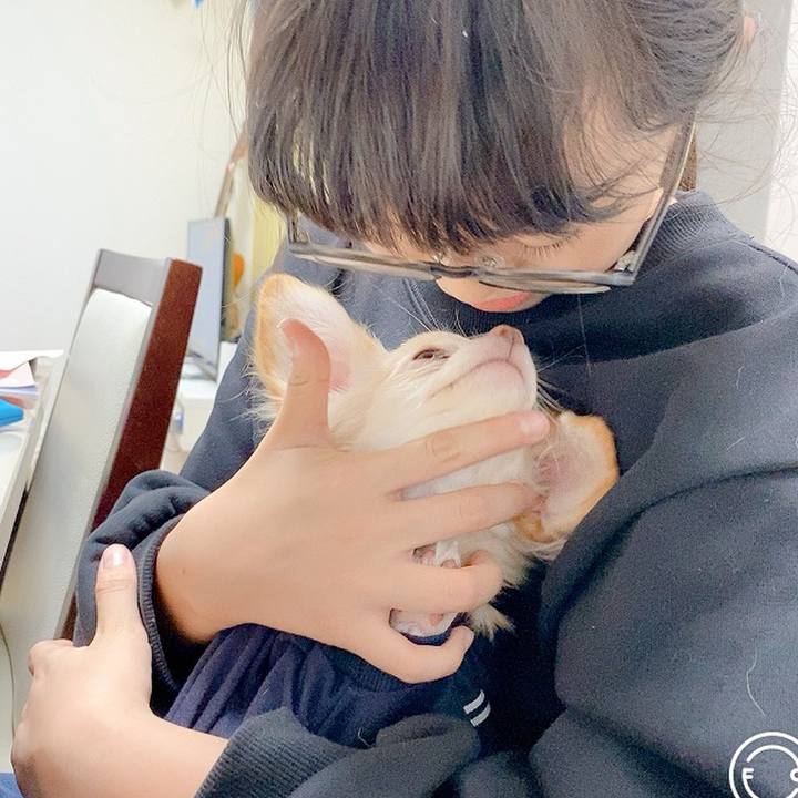 A98c5c1d 3ad7 4e5e 8a8b e87754a4d7d4 1603606962775