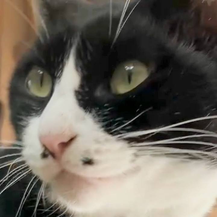 A98c5f38 ef1a 49fa 936a 4e13f5cc9dce 1731901103568