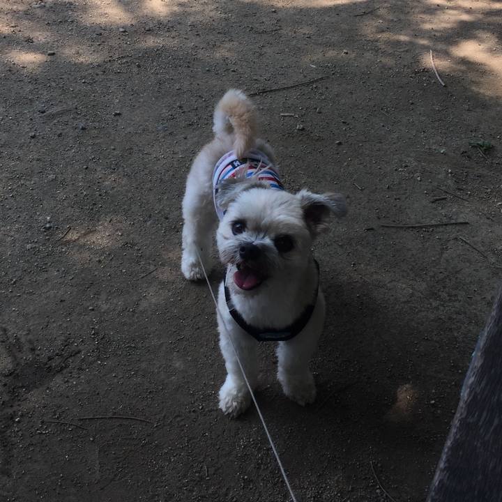 A98c7113 9a9d 47c7 8e99 1859acd26af1 1533441008321