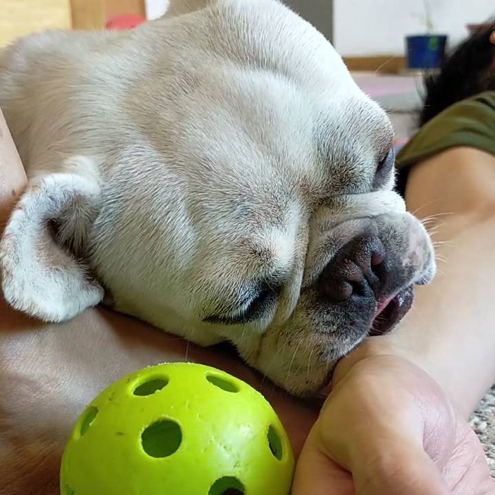 A98c8c08 dae5 41ea a32f 8e144e7f774a 1660172068302