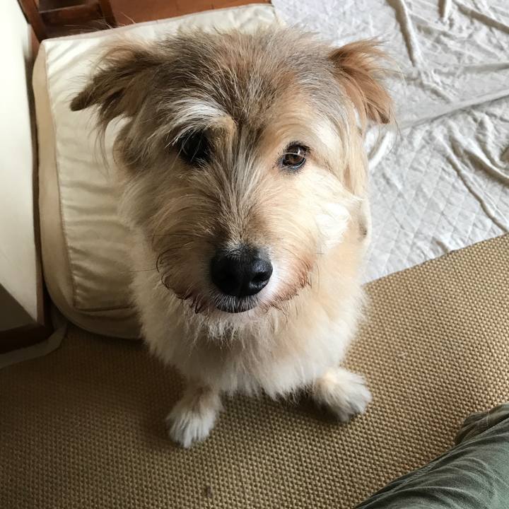 A98c8d46 9e55 4279 a220 58840a651aa0 1538780043517