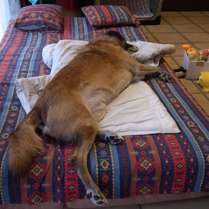 A98ca185 0996 4d05 bc8a b7e4f62fbeb5 1583163258744