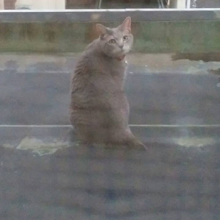 A98ca550 d872 4dfd aa20 e12de05d477a 1566121112940