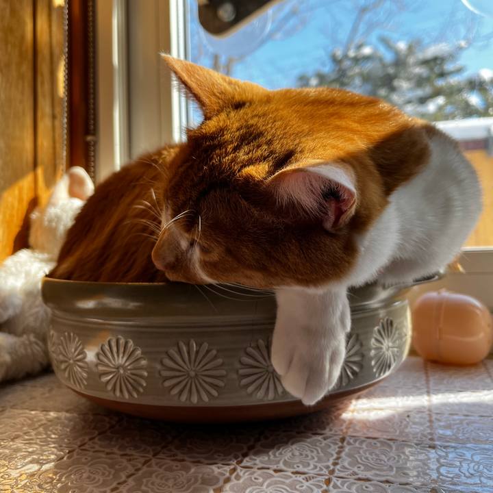 A98cac98 b071 472b bd65 650da66940d2 1709179189657