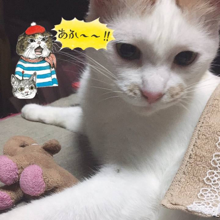 A98cc9c6 7803 4bbd bfe9 b217ef062dec 1570753817123