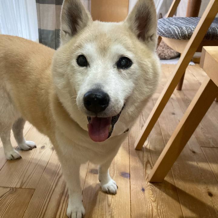 A98cf81d 5dd4 4347 a7b8 b1c835efb7ed 1698939825715