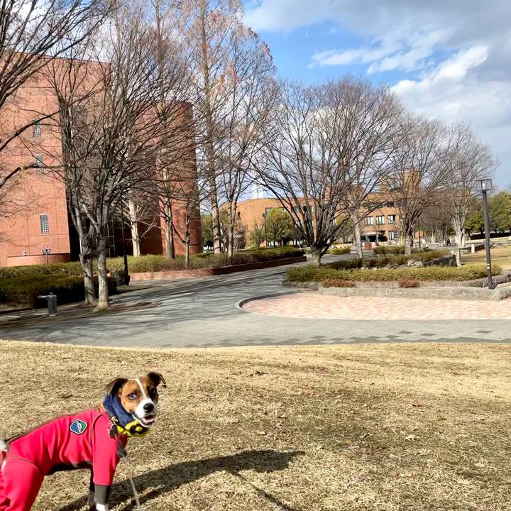 A98cfe41 cdb1 4bc4 bf6d 2ab8caf6f5a8 1646467406229