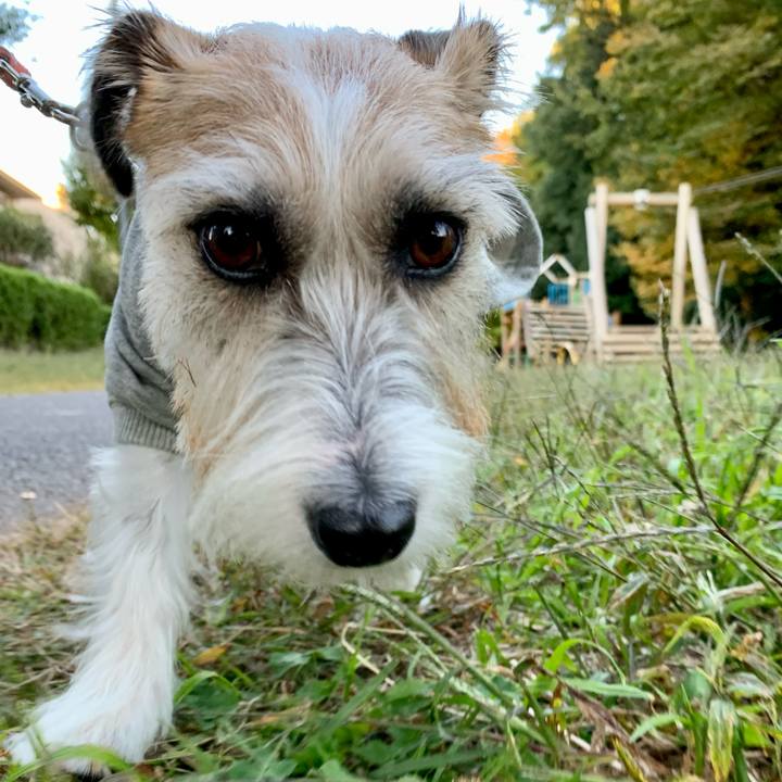 A98d0b63 efef 44cc a835 26732dfb7684 1667389488559