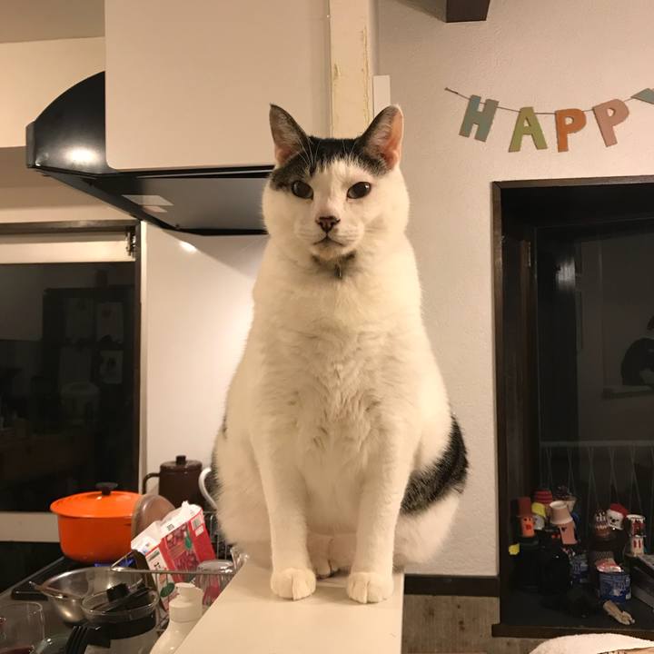 A98d10a2 327e 473b 9adc ea79daf13c20 1513759377950