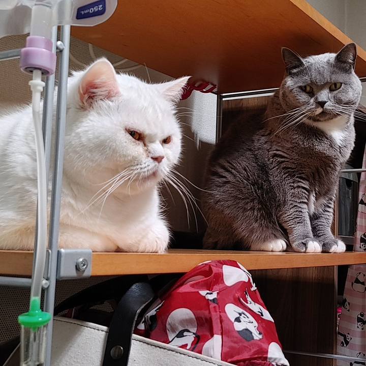 A98d1aab 9ec9 4db5 ac3c a90b7cfd36e9 1642249744955