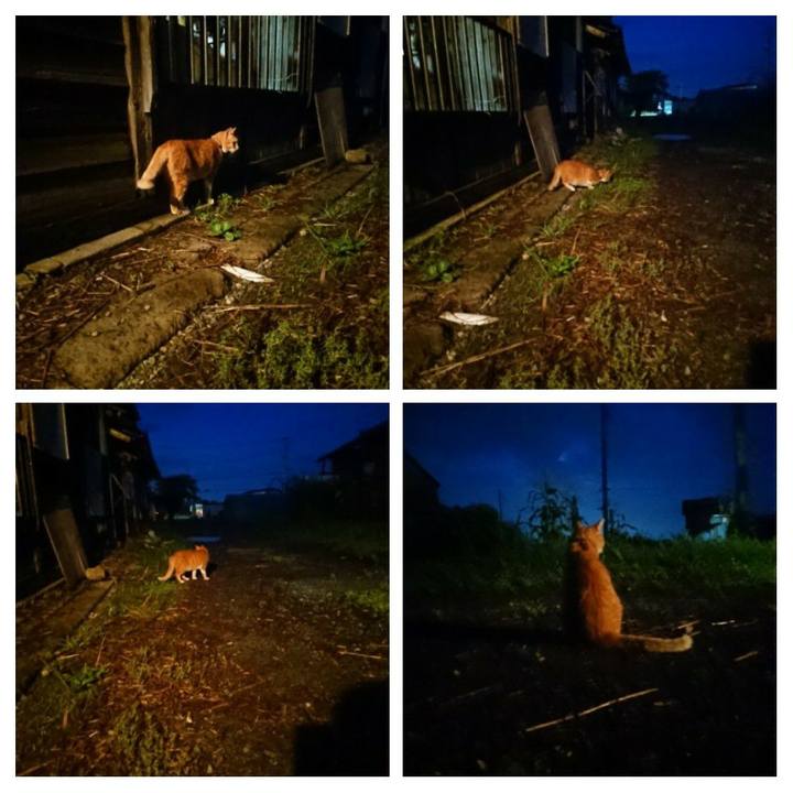 A98d1f29 53ee 4819 932d 588482c2324a 1596971844097