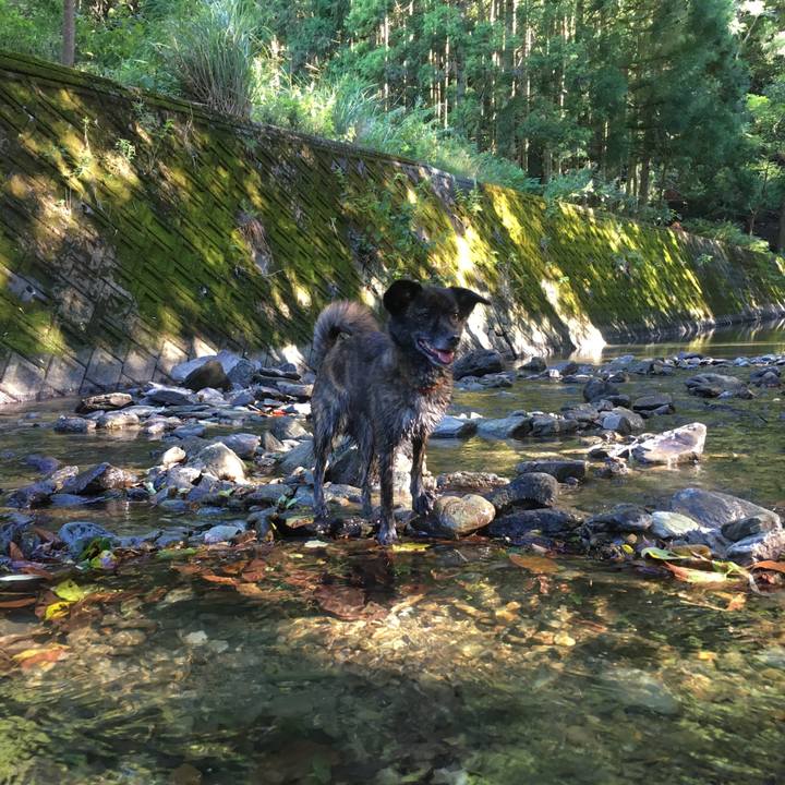 A98d4b83 c765 43e0 9975 a5cdece290d0 1537093799872