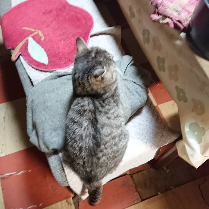 A98d8907 8122 4cba 9cb3 d96162e20d68 1578737837862