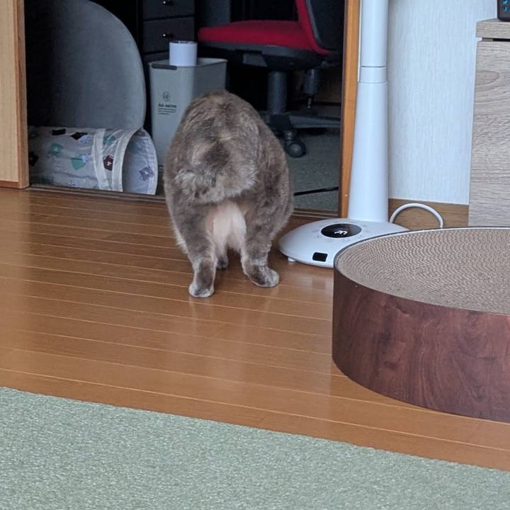 A98d93f6 0e65 4a58 ba9c 9cfb0803bde7 1769608910389