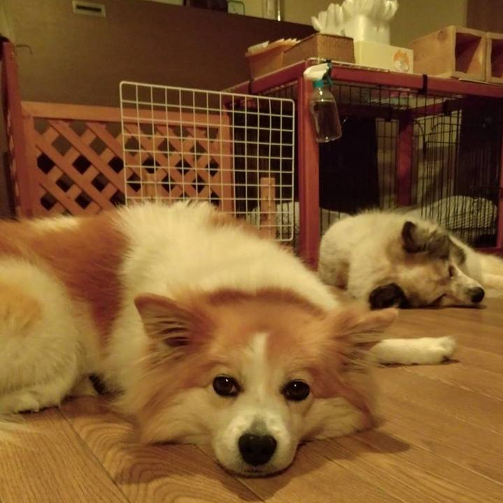 A98e0f37 3677 4f2d ba8d 5962cb0495e7 1683454532528