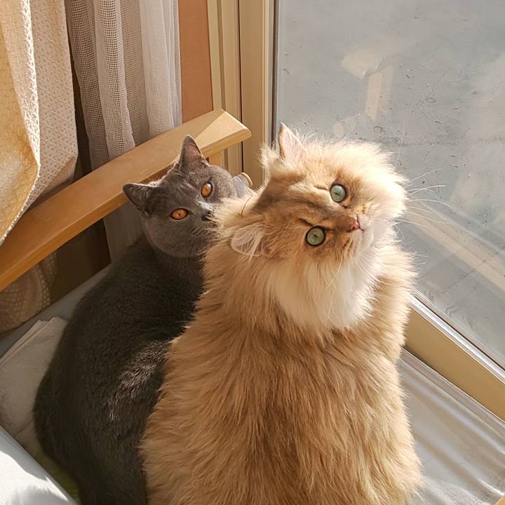 A98e4b1f 4e19 4909 83e6 cdfa089b0796 1578353290354