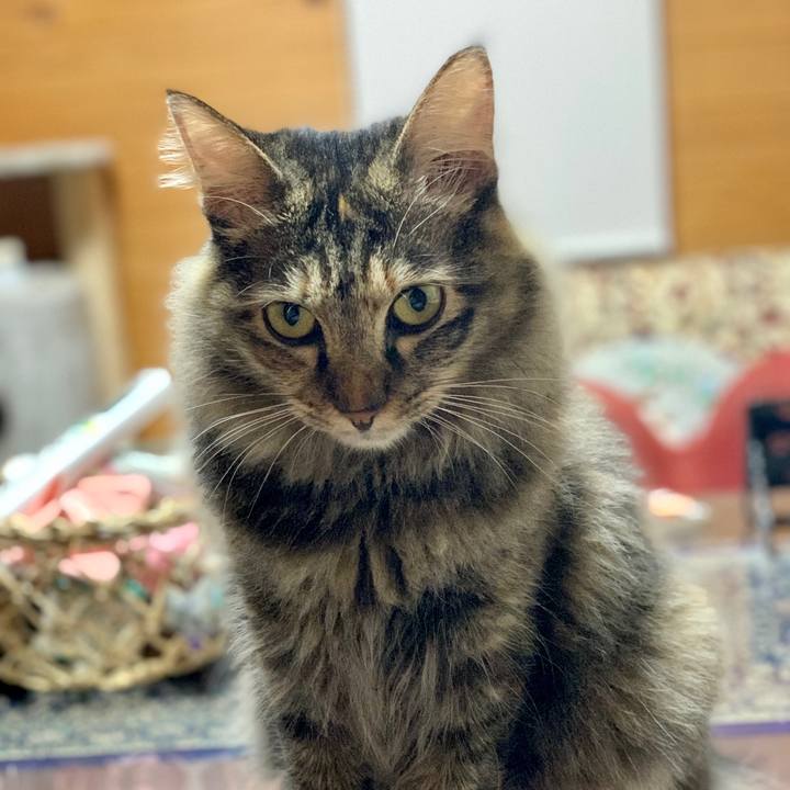 A98e990d 3271 4219 ac4f eda60583adee 1657110415437