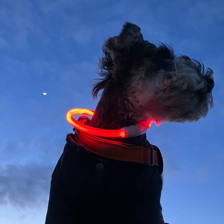 A98eb749 b3f6 4216 aa9d ee06e43b51fd 1741091335877