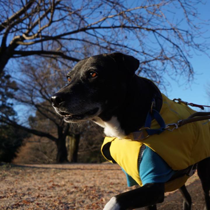 A98ecd58 67c4 4d8b 97dc 32a47b86eafc 1767401153497