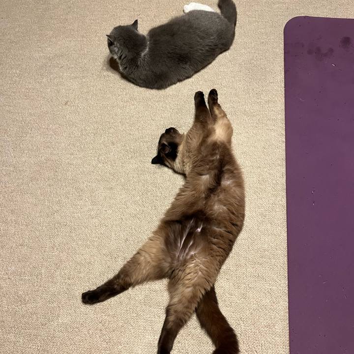 A98ee095 eacf 496b abc7 77726891f784 1688383286575