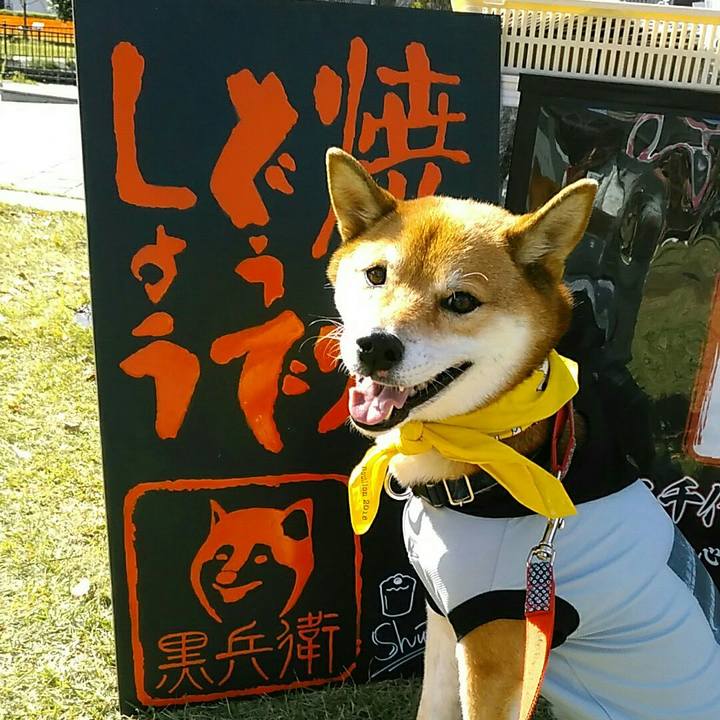 A98ee0b5 a819 4ff3 a387 6e62b9f8de7b 1572095691237