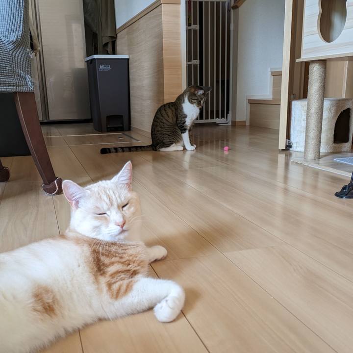 A98f337d 273c 4ee4 a423 c1cfe763ce3d 1690590828494