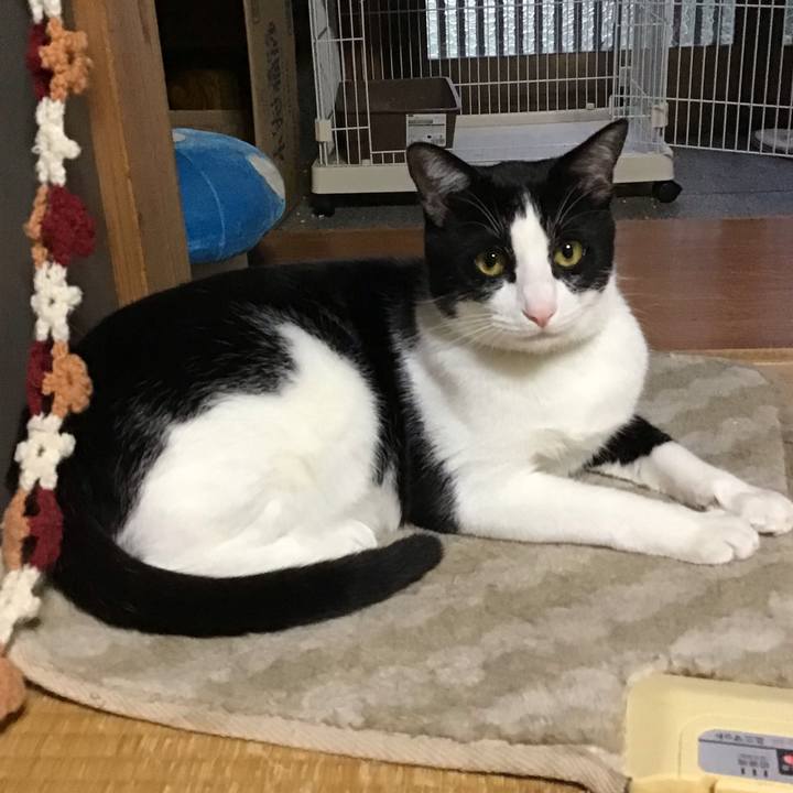 A98f391c 05d9 4d11 9633 843677384367 1655113167761