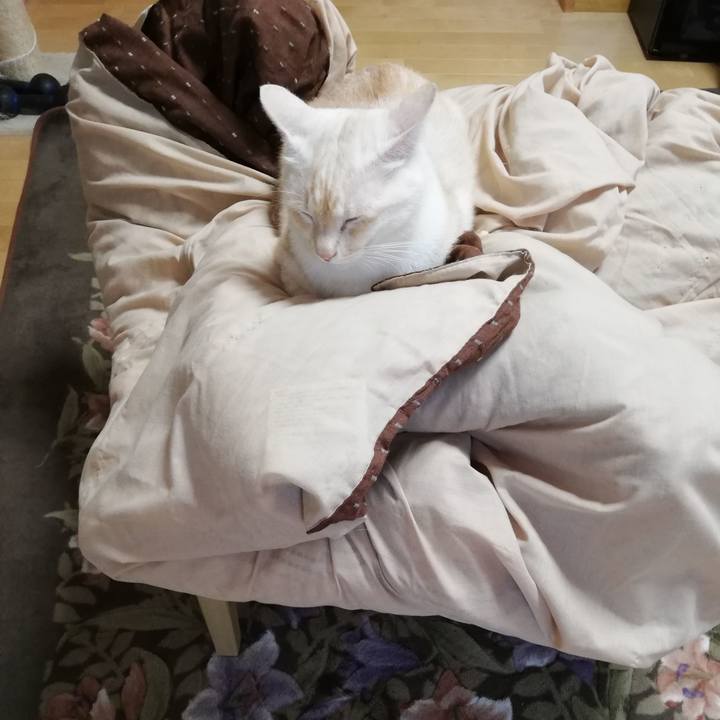 A98f513c 9996 4b92 b8ec 357b09e84e8c 1604788948493