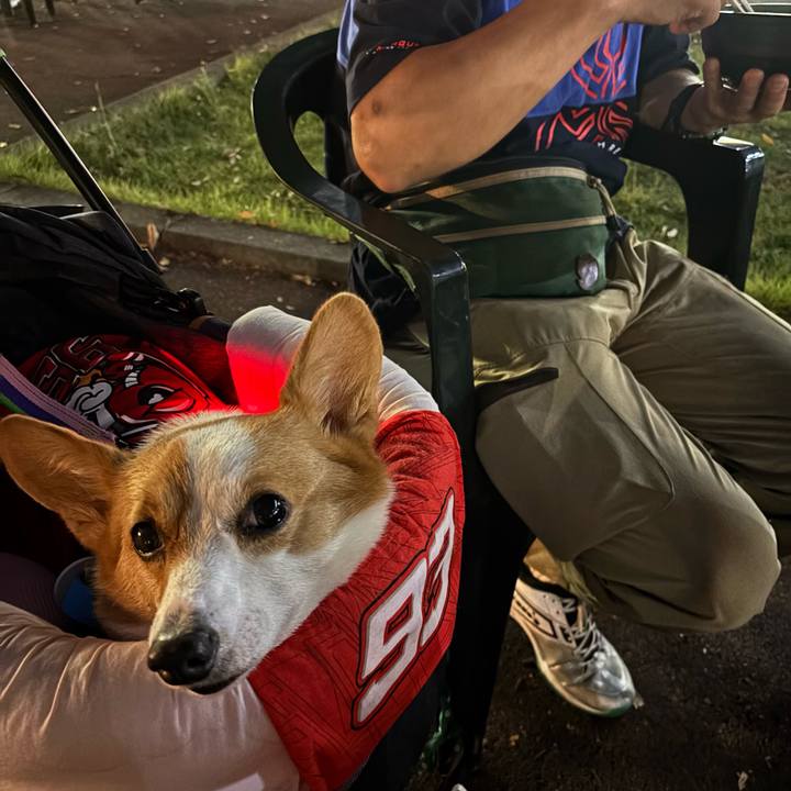 A98f659a c51d 45bd bfb0 9c8fcc4dcd5b 1758883442121