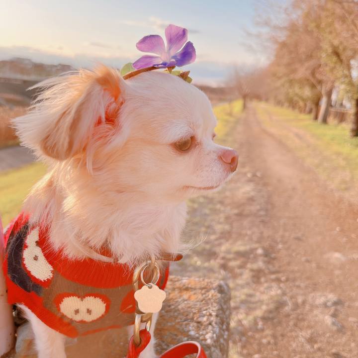 A98f7b74 c2c7 4cfe 998b e4824d7af5fa 1674026525582