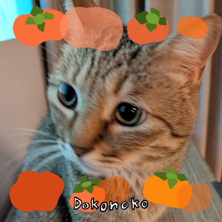 A98f8b3f b876 40fd 95da f450eac3f774 1761254611969