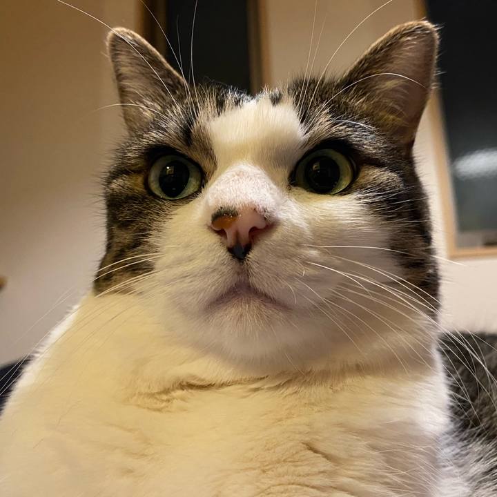 A98fa743 7370 41d3 bfc5 f486bb687017 1664202205646