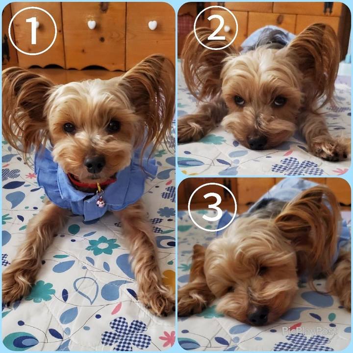 A98fcd13 8109 4c6b b67b 830dbb66c293 1617521221374