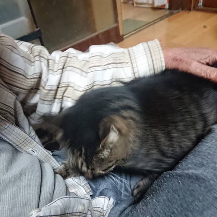 A98fdde8 63e3 4aa1 ad7a 7983fc1732a6 1634217335682