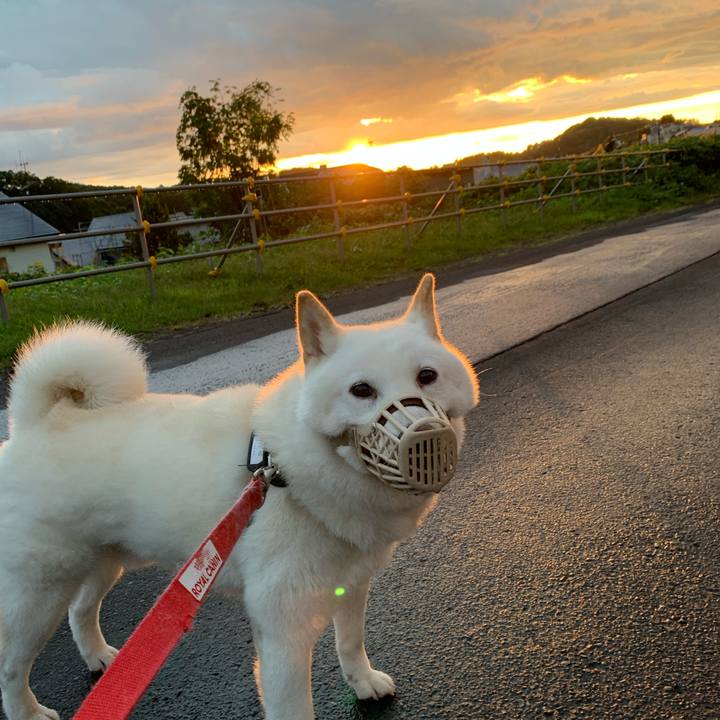 A9901f3f 30a8 468a 9dff 3ac1075ab6f0 1599166013449