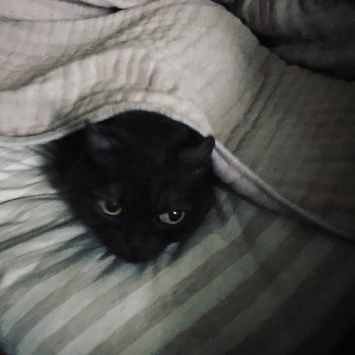 A990b626 c00f 4ae1 b767 07c080d9eca6 1544495536019