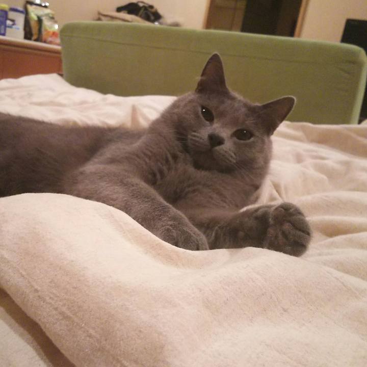 A990d23b a01f 4413 8431 92ee6b65c826 1530795875733