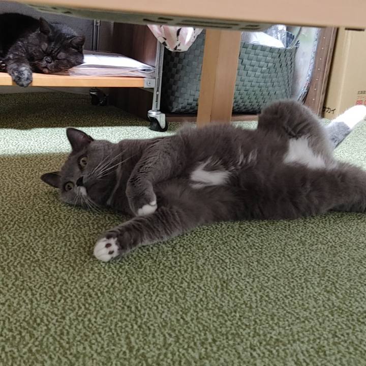 A990f0c3 f381 4494 9387 17520de886bb 1629976847394