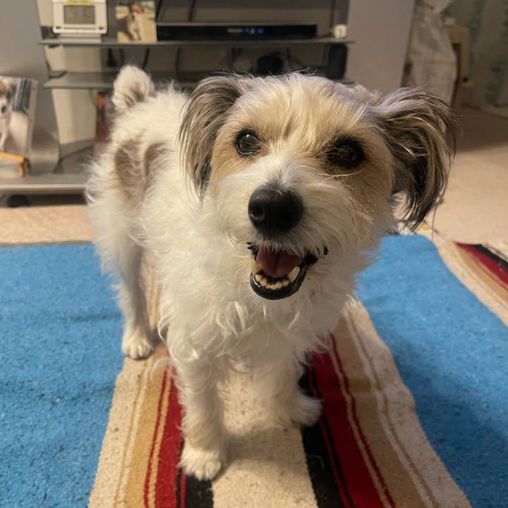 A9911a9e 87b1 4f0f a9e9 f58a21b66234 1765890070502